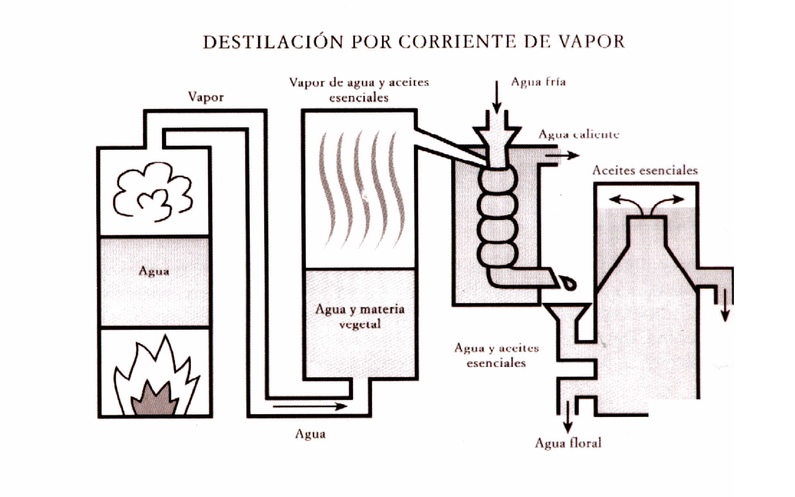 Proceso de destilación para obtener hidrolatos
